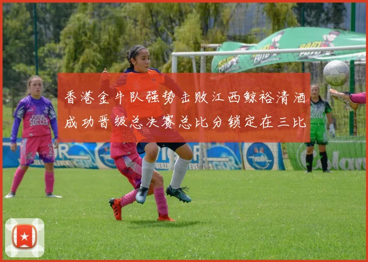 香港金牛队强势击败江西鲸裕清酒成功晋级总决赛总比分锁定在三比零