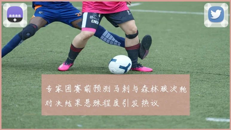 专家团赛前预测马刺与森林狼次轮对决结果悬殊程度引发热议